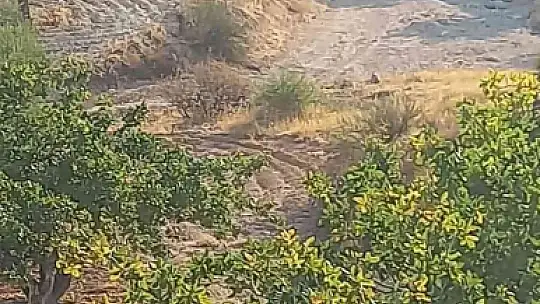 Tarım işçilerini taşıyan traktör şarampole uçtu: 2 ölü, 5 yaralı