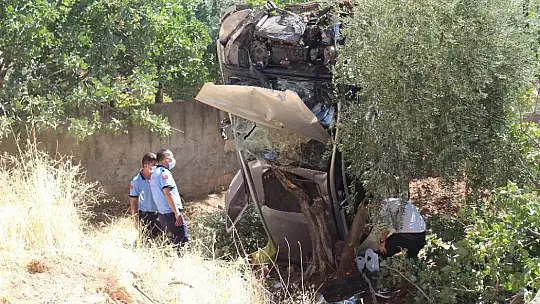 Tarlaya uçan araca fıstık ağacı ok gibi saplandı: 6 yaralı