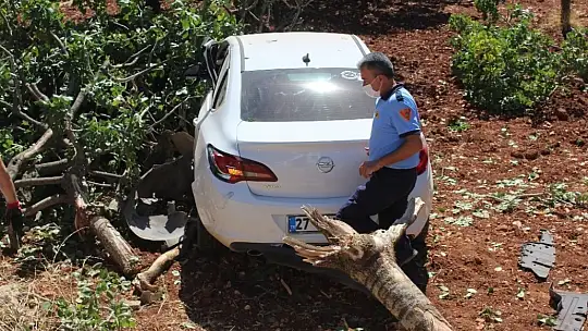 Tarlaya uçan araca fıstık ağacı ok gibi saplandı: 6 yaralı