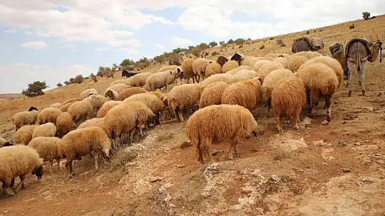 Tek umutları olan köy onları yeniden hayata bağladı