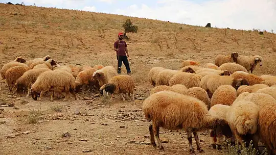 Tek umutları olan köy onları yeniden hayata bağladı
