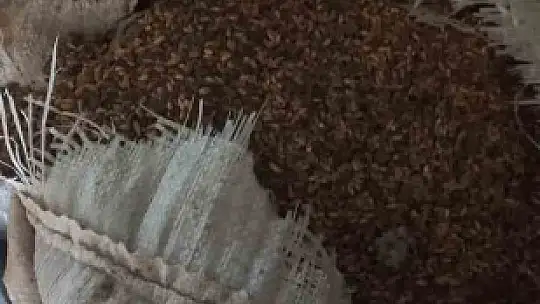 Toplam 7 ton 250 kilogram gıda ürünü imha edildi