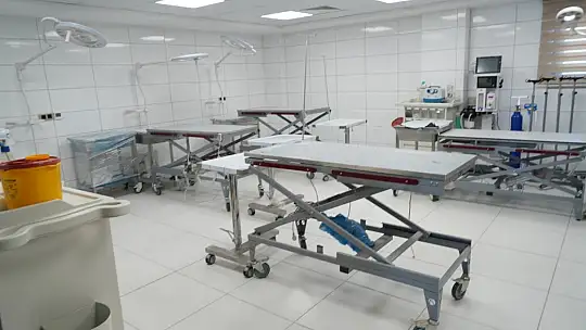 Türkiye'de gündem olan köpek sorununa Gaziantep'te örnek çözüm