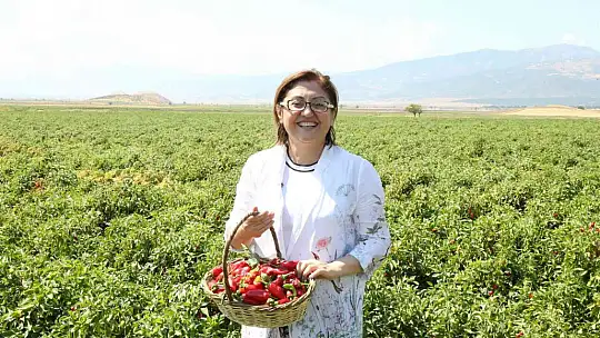 Uluslararası 4. Gastroantep festivali başlıyor