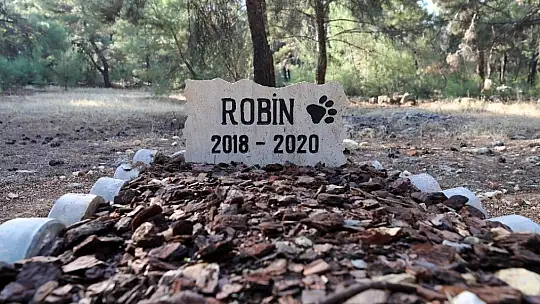 Üniversite öğrencisi ölen köpeğine kampüste mezar yaptı