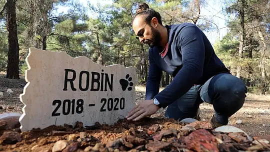 Üniversite öğrencisi ölen köpeğine kampüste mezar yaptı