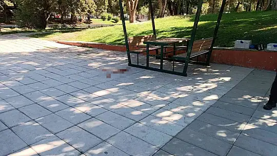 Uzman çavuş, parktaki bankta ölü bulundu