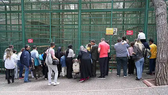 Vatandaşlar bayramda Gaziantep Hayvanat Bahçesi'ne akın etti