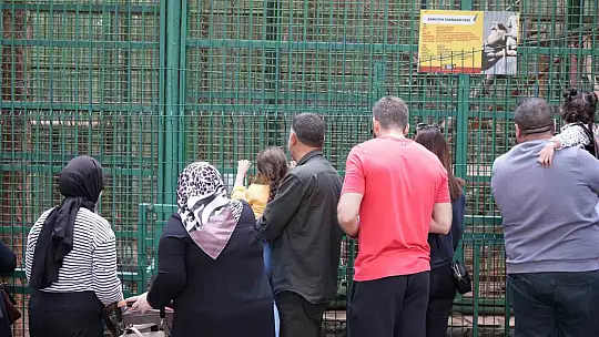 Vatandaşlar bayramda Gaziantep Hayvanat Bahçesi'ne akın etti