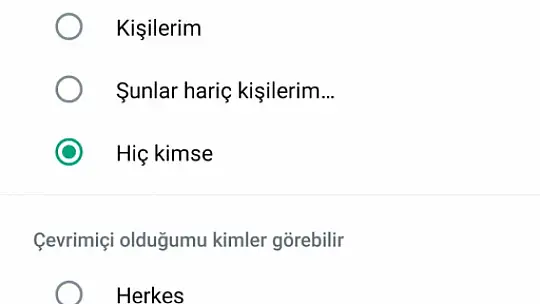 WhatsApp'da 'çevrim içi' gözükmeye son: Kullanıcıların kafası karışık