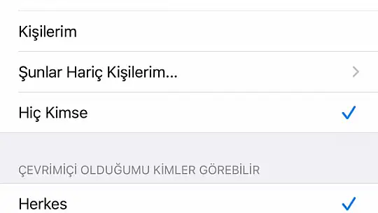 WhatsApp'da 'çevrim içi' gözükmeye son: Kullanıcıların kafası karışık