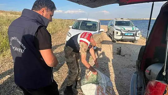 Yasağa rağmen balık avı yapanlara jandarmadan baskın