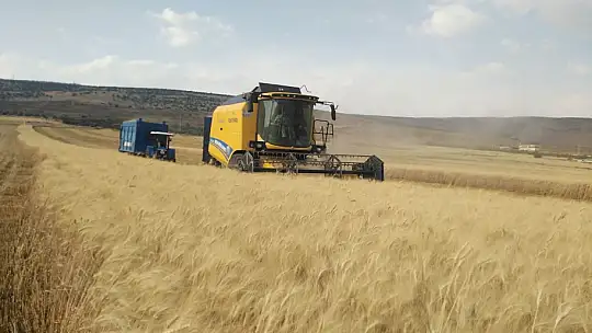 Yavuzeli'nde buğday ve arpa hasadı sürüyor