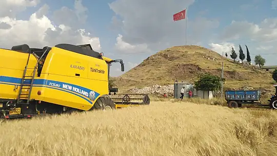 Yavuzeli'nde buğday ve arpa hasadı sürüyor