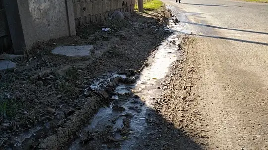 Yavuzeli'nde don tarım arazilerini vurdu