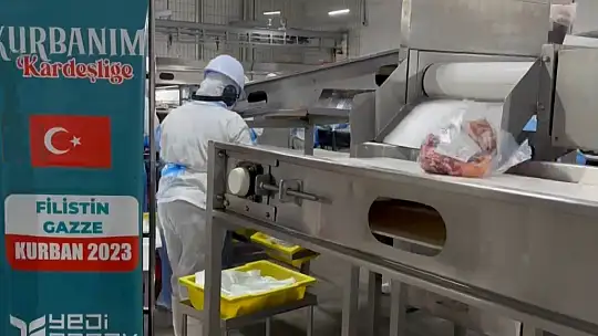 Yedi Başak, 3 kıtadaki 15 ülkede kurban bağışlarını ihtiyaç sahiplerine ulaştıracak