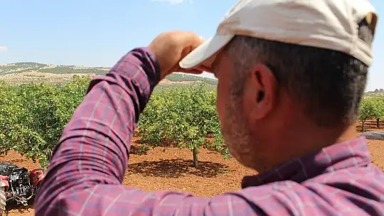 Gaziantep'te artan hırsızlık olaylarına karşı gece gündüz silahlı nöbet