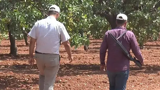Gaziantep'te artan hırsızlık olaylarına karşı gece gündüz silahlı nöbet
