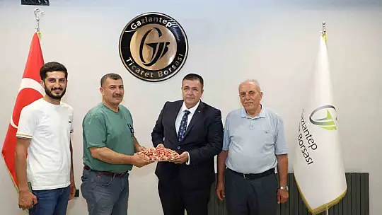 Yılın ilk Antep fıstığına GTB'den ödül