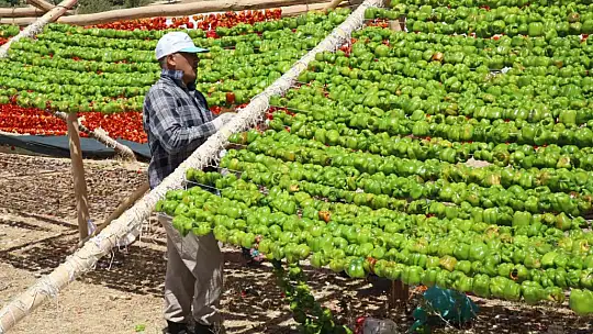 Yılın ilk kurutmalıkları güneşe bırakıldı