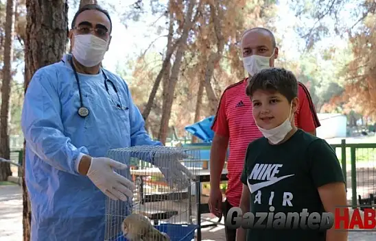 Nesli tükenmek üzeriydi Gaziantep'te yaralı bulundu