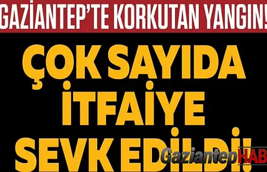 Gaziantep'te korkutan yangın