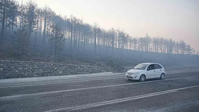 Bursa'daki orman yangını 3. gününde... Gökyüzünü kaplayan duman bulutundan göz gözü görmüyor