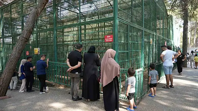 Gaziantep Doğal Yaşam Parkı'nda 8 ayda bir yılın rekoru kırıldı