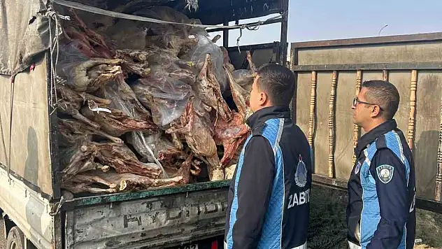 Gaziantep'te kamyonet kasasında kilolarca bozuk et ele geçirildi