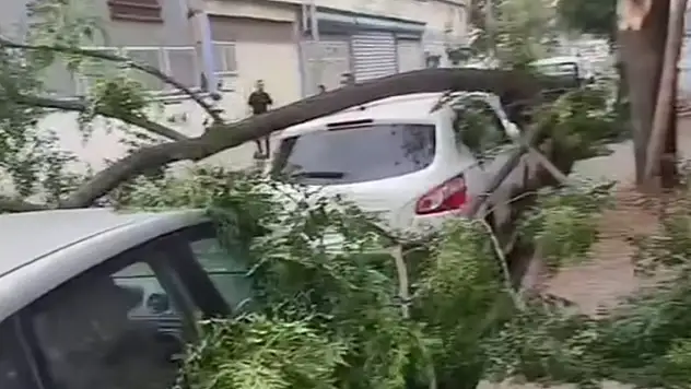 Gaziantep'te şiddetli fırtına: Ağaçlar devrildi, araçlar zarar gördü, toz bulutu etrafı kapladı