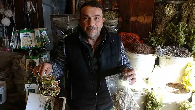 Karlı havalarda şifa arayanlar aktarlarda yoğunluk oluşturdu