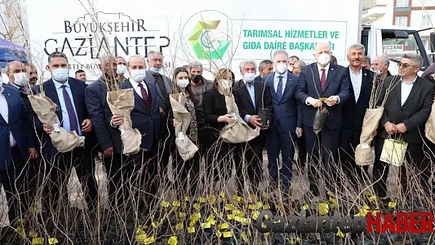 Oğuzeli'nde çiftçiye 15 bin nar ve 10 bin Antep fıstığı fidanı dağıtıldı