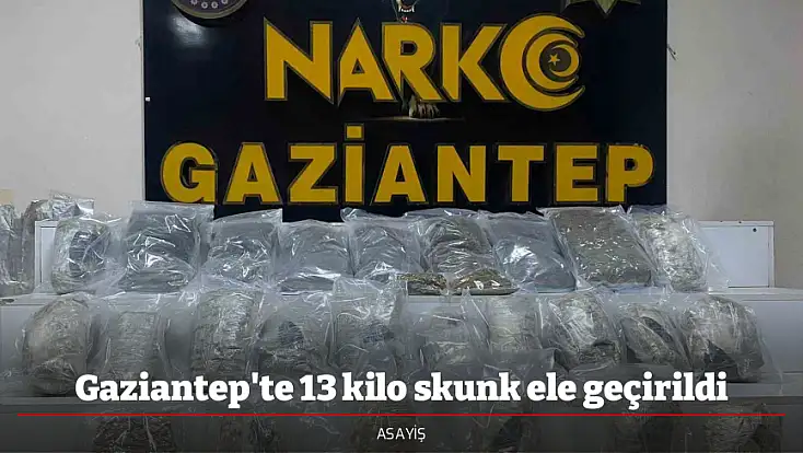 Gaziantep'te 13 kilo skunk ele geçirildi