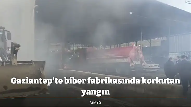 Gaziantep'te biber fabrikasında korkutan yangın