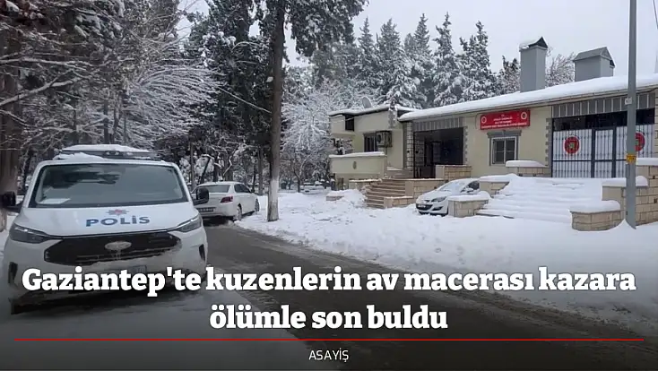 Gaziantep'te kuzenlerin av macerası kazara ölümle son buldu