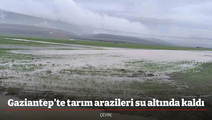Gaziantep'te tarım arazileri su altında kaldı