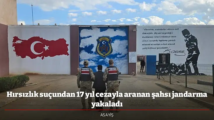 Hırsızlık suçundan 17 yıl cezayla aranan şahsı jandarma yakaladı
