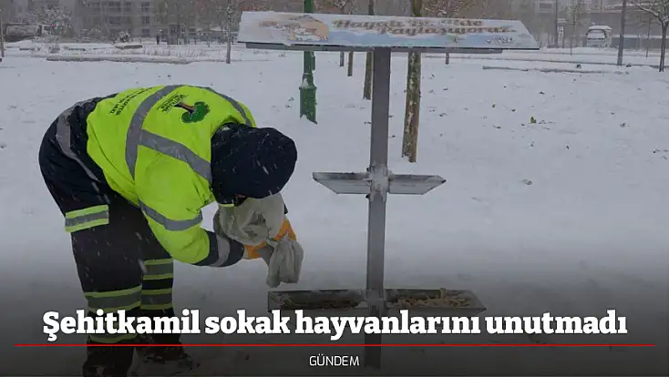 Şehitkamil sokak hayvanlarını unutmadı