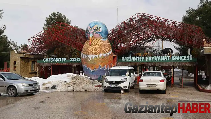 2021'de Gaziantep Hayvanat Bahçesini 2 milyon 750 bin kişi ziyaret etti