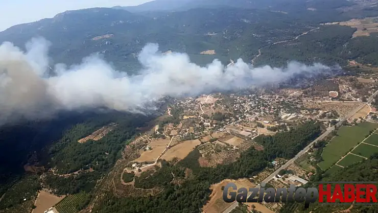 430 hektarlık orman yangını sanığına 5 yıl hapis