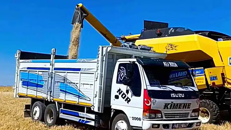 Araban'da, 2025 yılının ilk buğday hasadı yapıldı