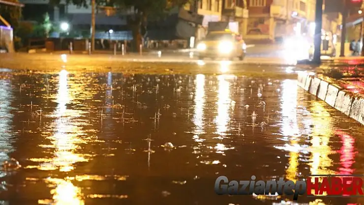 Araban Ovası'nda yağmur sevinci