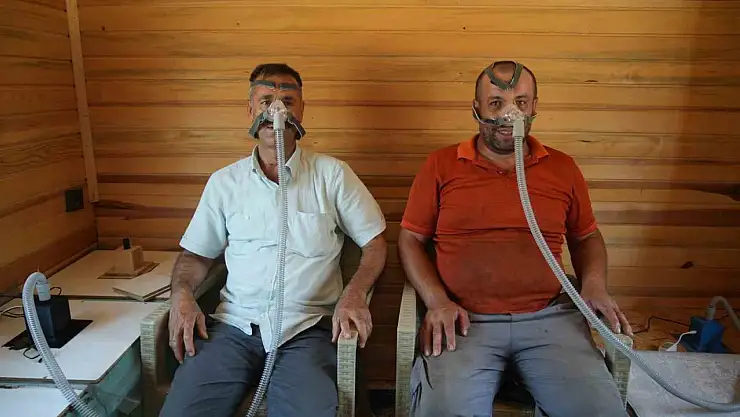 Arı kovanı havası soluyarak şifa arıyorlar