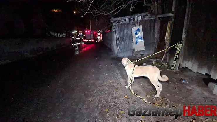 Babası uyurken evi ateşe verdi