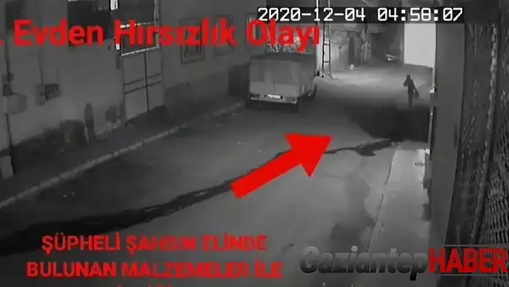 Bal ve zeytinyağı hırsızlarının rahat tavırları 'pes' dedirtti
