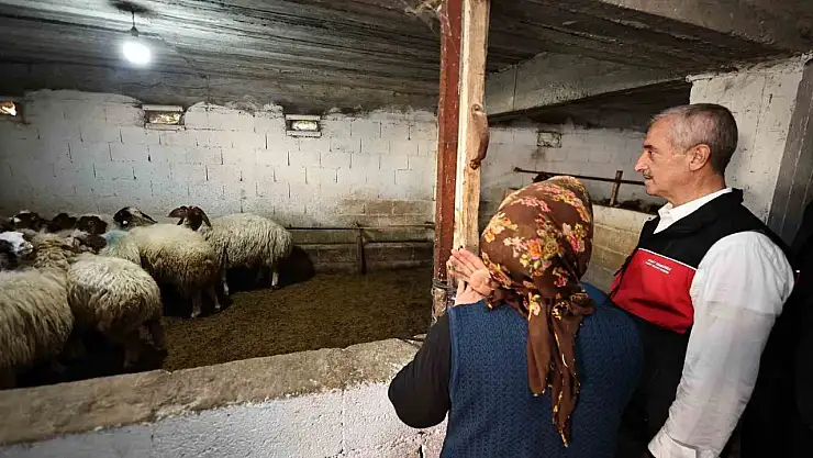 Başkan Tahmazoğlu: 'Hayvancılığa desteğimiz sürecek'