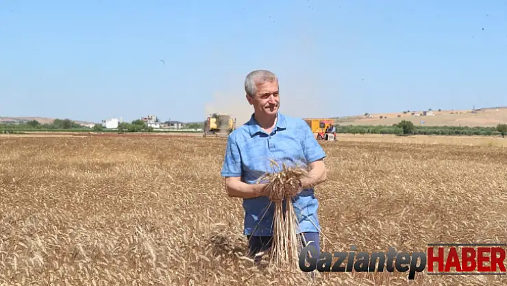 Başkan Tahmazoğlu çiftçinin hasat sevincine ortak oldu