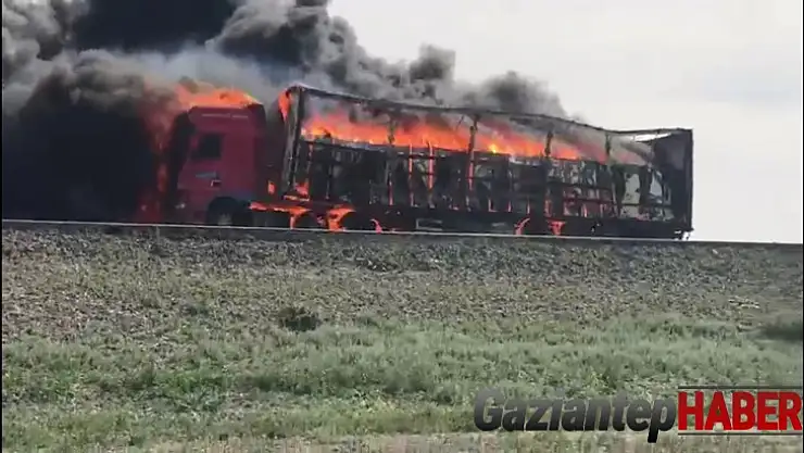 Beyaz eşya yüklü tır alev alev yandı