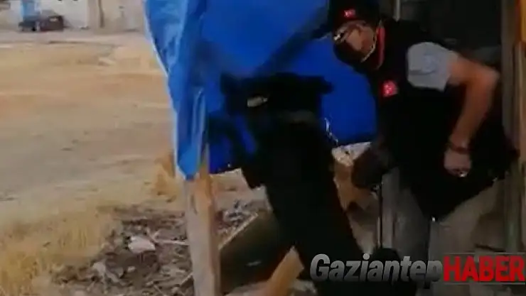 Brandaya gizlenen esrar maddesini narkotik köpeği buldu
