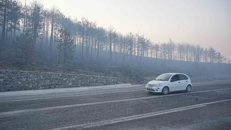 Bursa'daki orman yangını 3. gününde... Gökyüzünü kaplayan duman bulutundan göz gözü görmüyor